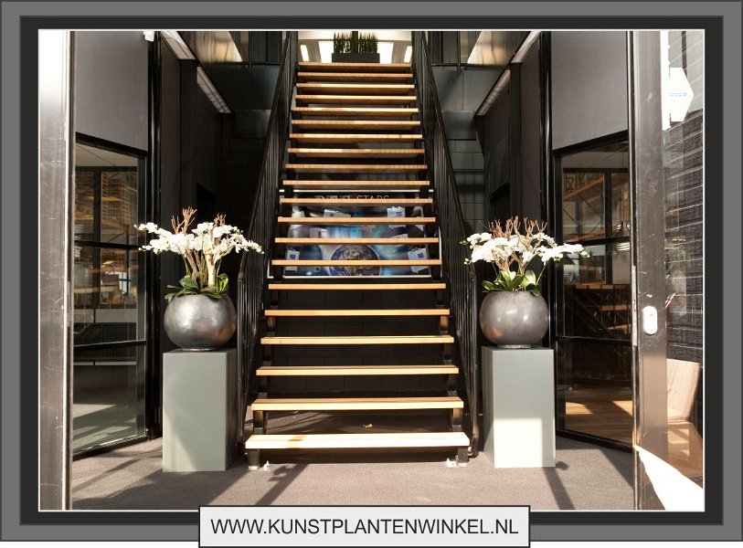 orchideeen in luxe aardwerk